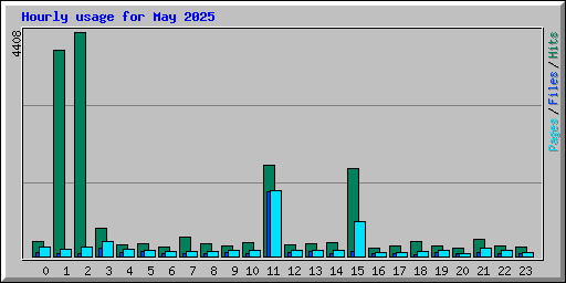 Hourly usage for May 2025