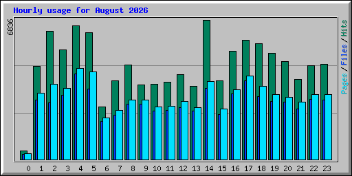 Hourly usage for August 2026